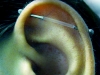 custom-industrial-2009.jpg
