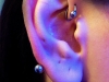 transverse-earlobe-2008.jpg