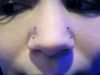 4-18-ga-nostrils-2009.jpg
