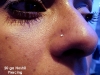 nostril-2008.jpg