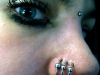 triple-nostril-2009.jpg