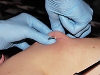 img_0650.jpg