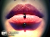 labret-14-ga-08.jpg