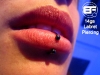 labret-cbb-2008.jpg