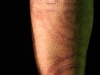 beppe-healed-1.jpg