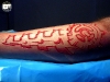 bio-leg-2006-1.jpg