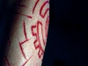 bio-leg-2006-3.jpg