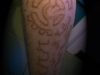 bio-leg-techno-healed-1.jpg