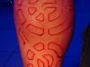 bioleg-scar-1.jpg