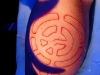 bioleg-scar-2.jpg