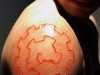 biospiral-2-2.jpg