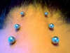3-x-nape-2007.jpg