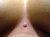 lower-chest-md-2009.jpg