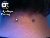 nape-2008.jpg
