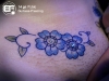 surface-piercing-flowers-2009.jpg