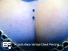 vertical-chest-2009.jpg