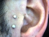 vertical-tragus-2009.jpg