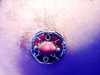 nipple-disc-and-roman-numbs.jpg